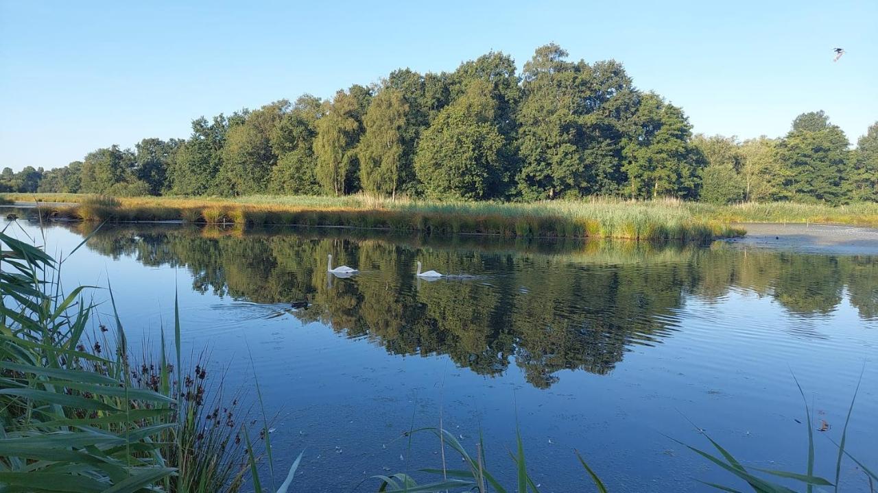 Helle Ferienwohnung In Nettetal Bei Venlo 외부 사진