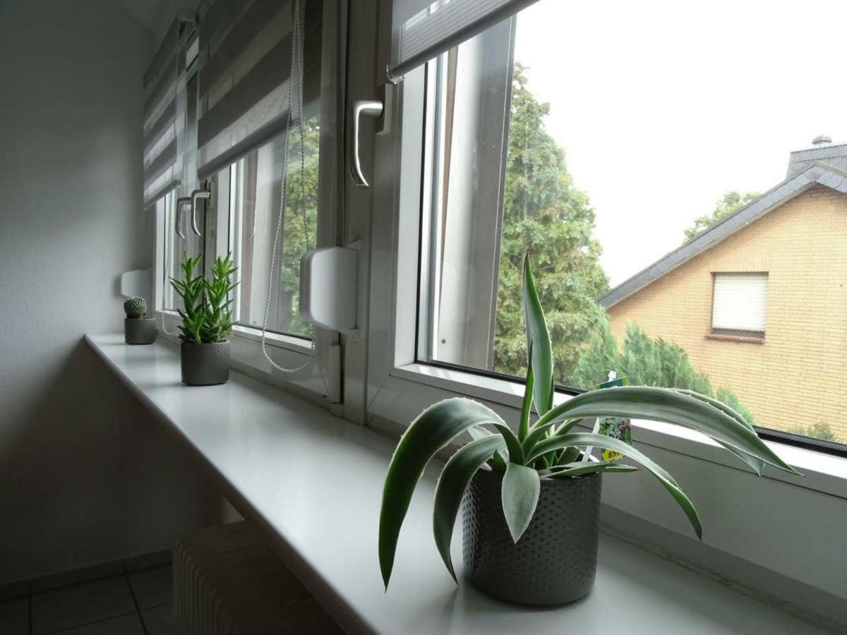 Helle Ferienwohnung In Nettetal Bei Venlo 외부 사진